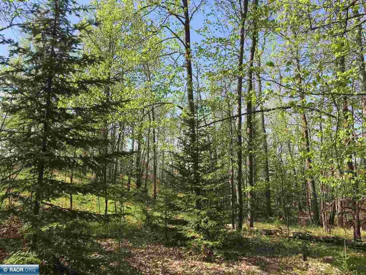 Orr, Saint Louis County, MN Undeveloped Land, Lakefront Property