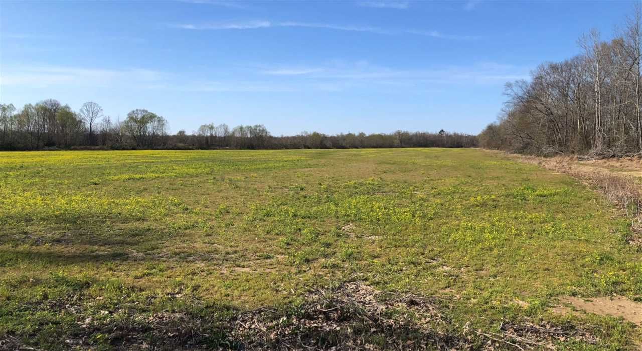 Jackson, Madison County, TN Farms and Ranches for sale Property ID