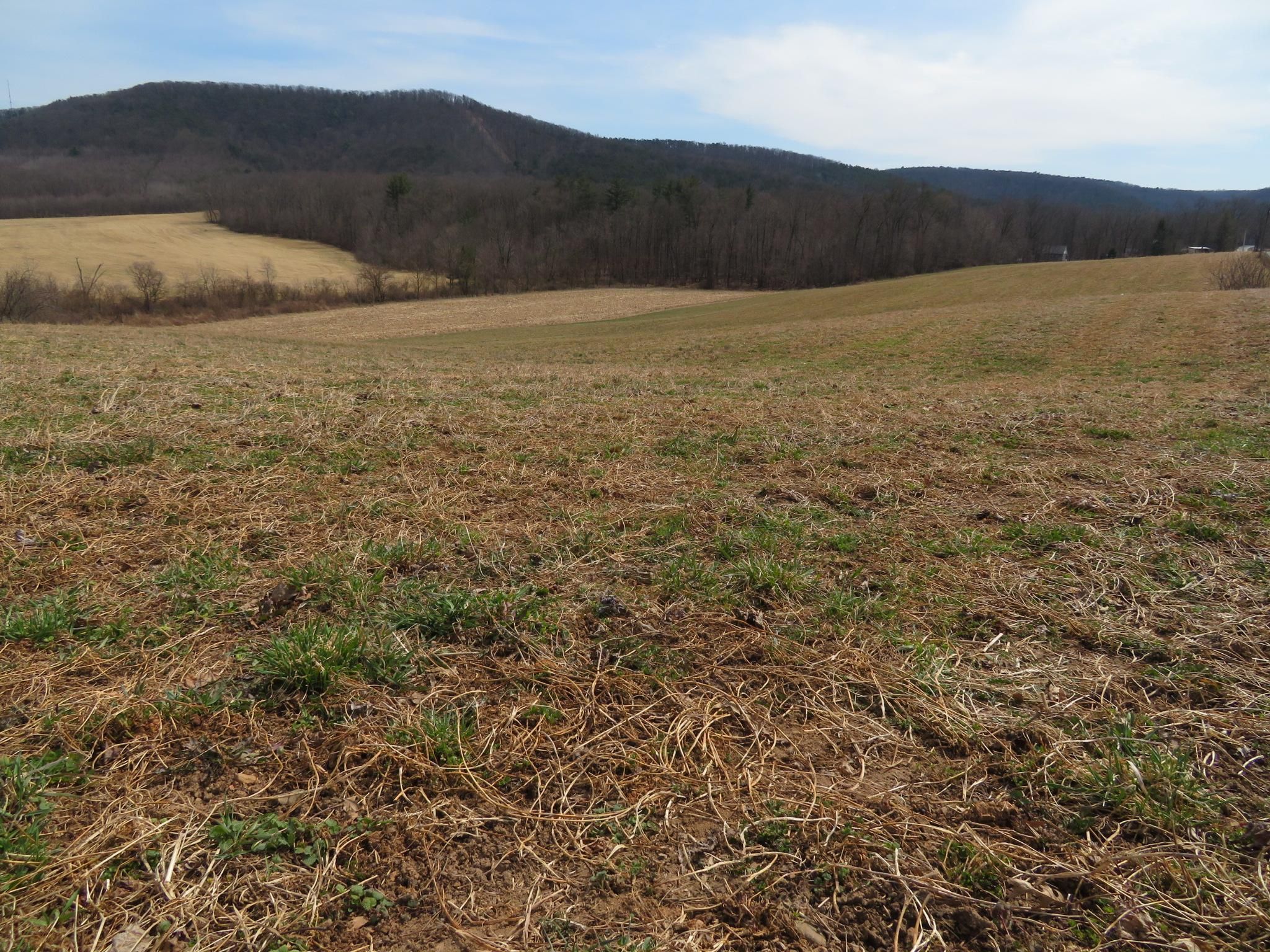 Sunbury, Northumberland County, PA Recreational Property, Undeveloped