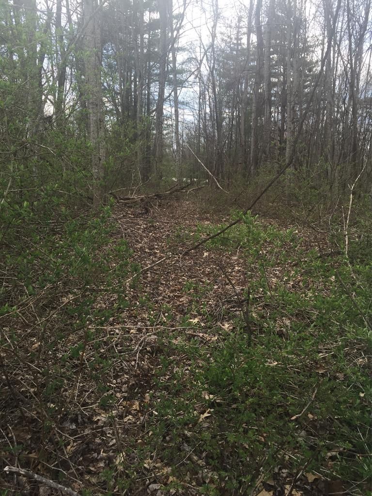 Lashmeet, Mercer County, WV Undeveloped Land, Homesites for sale