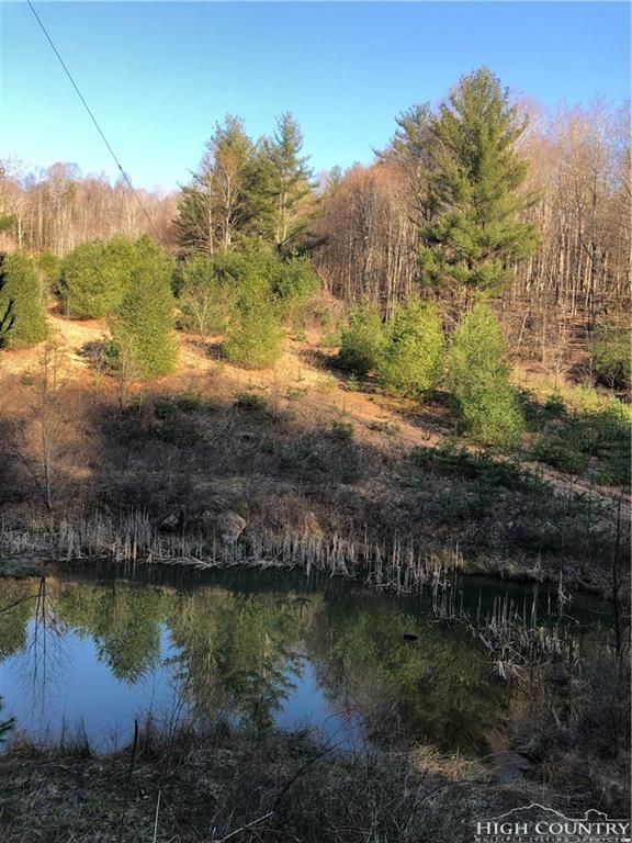 Lansing, Ashe County, NC Undeveloped Land for sale Property ID