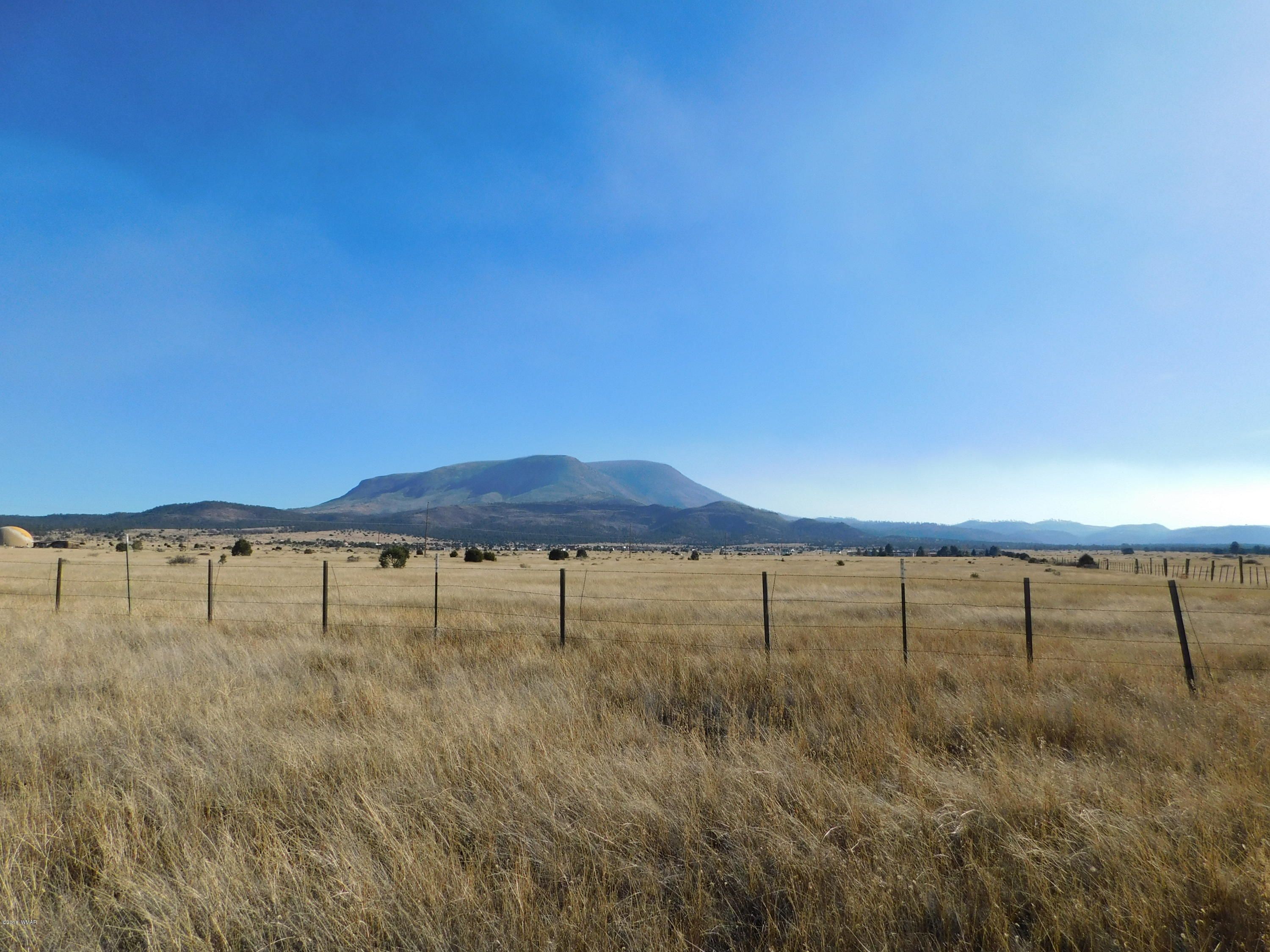Nutrioso, Apache County, AZ Undeveloped Land for sale Property ID