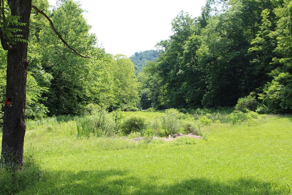 Pine Grove, Wetzel County, WV Undeveloped Land for sale Property ID