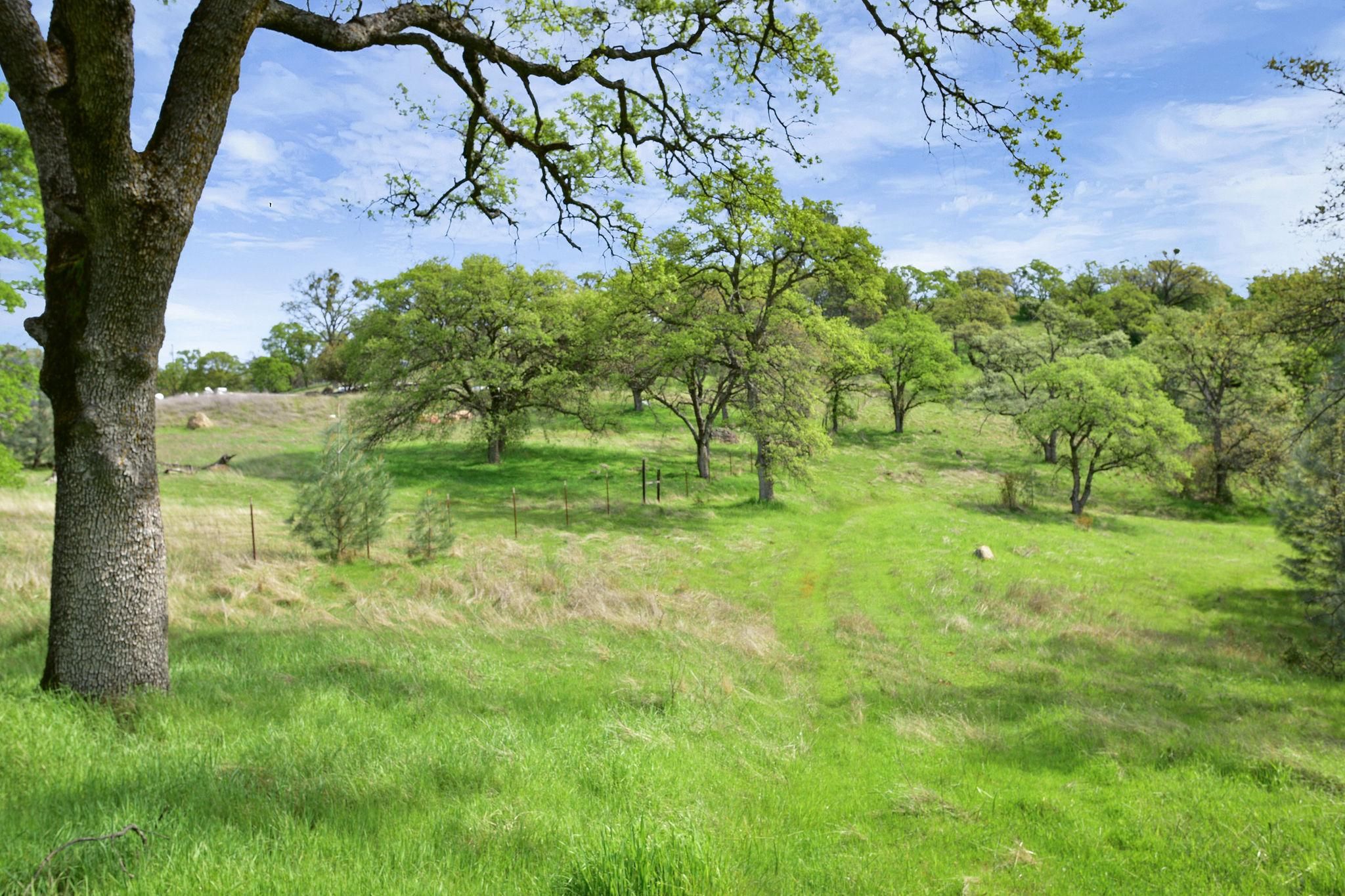 Browns Valley, Yuba County, CA Undeveloped Land for sale Property ID