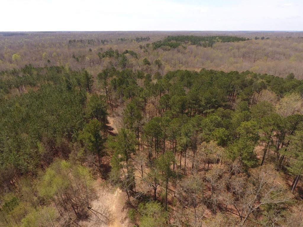 Tennessee Ridge, Stewart County, TN Undeveloped Land for sale Property