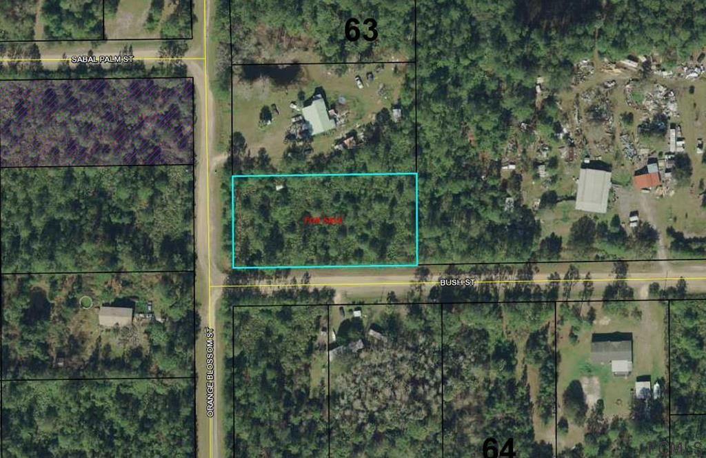 Bunnell, Flagler County, FL Undeveloped Land, Homesites for sale Property ID 334569408 LandWatch