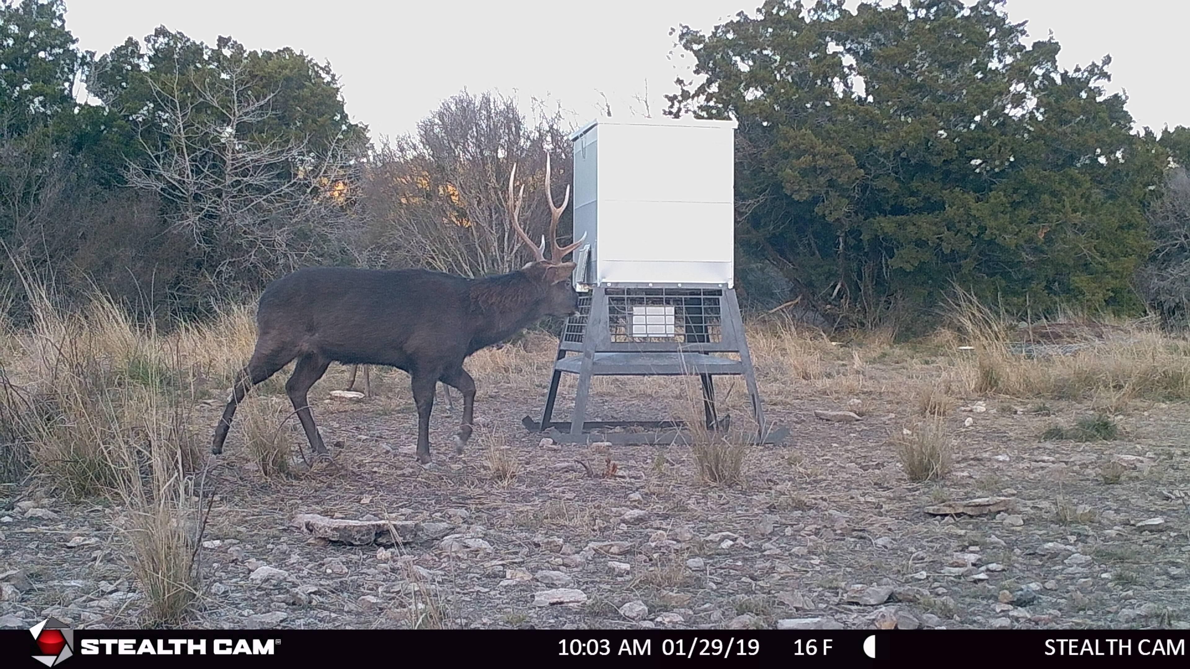 Rocksprings, Edwards County, TX Farms and Ranches, Recreational
