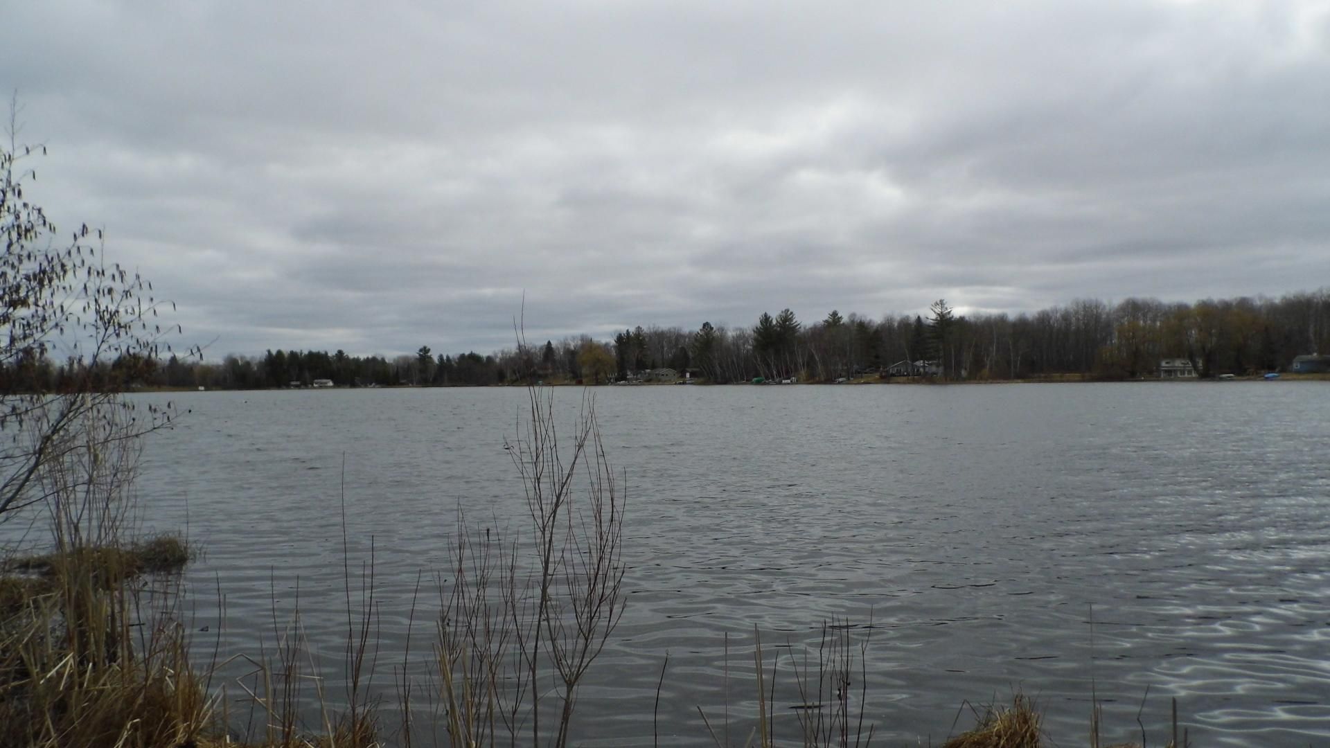 Gladwin, Gladwin County, MI Recreational Property, Lakefront Property