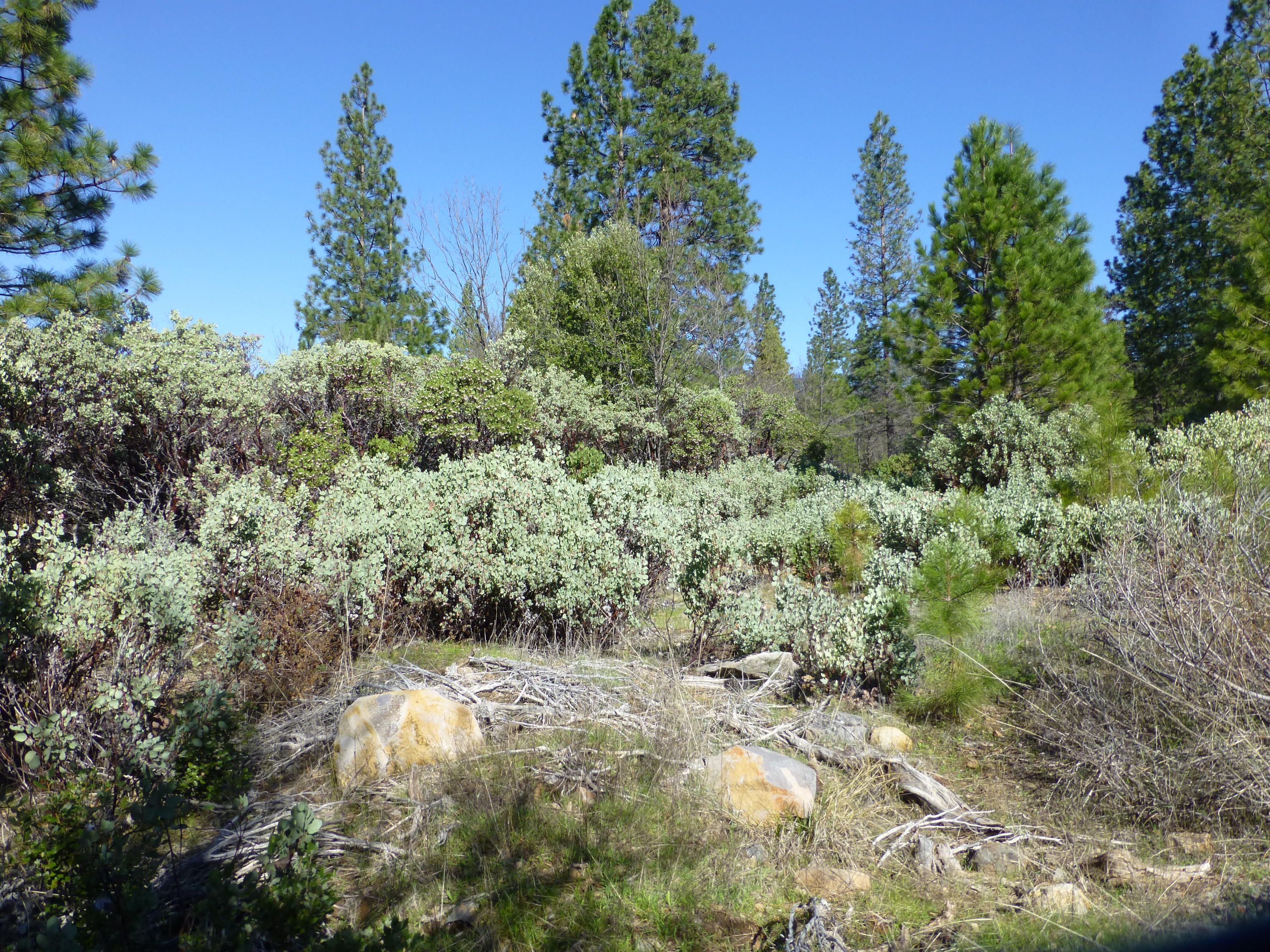 Oak Run, Shasta County, CA Undeveloped Land for sale Property ID