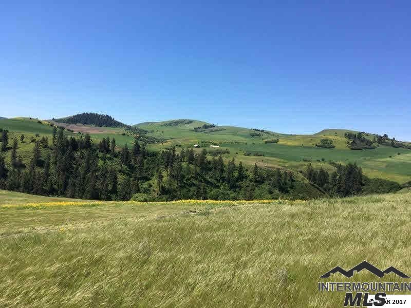Kamiah, Idaho County, ID Farms and Ranches for sale Property ID