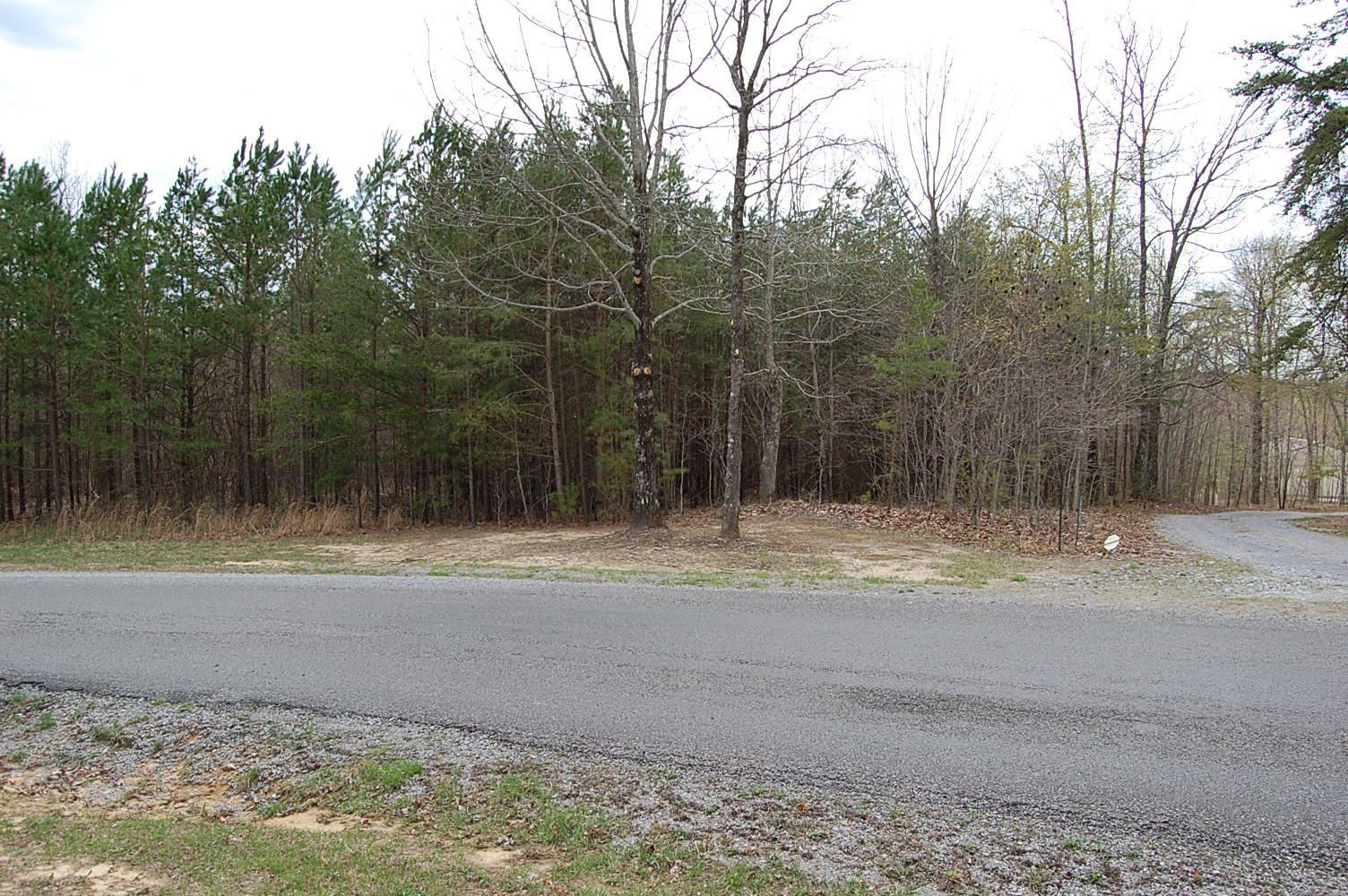 Dunlap, Sequatchie County, TN Undeveloped Land for sale Property ID