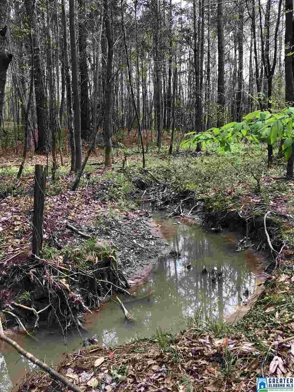 Beatrice, Monroe County, AL Undeveloped Land for sale Property ID