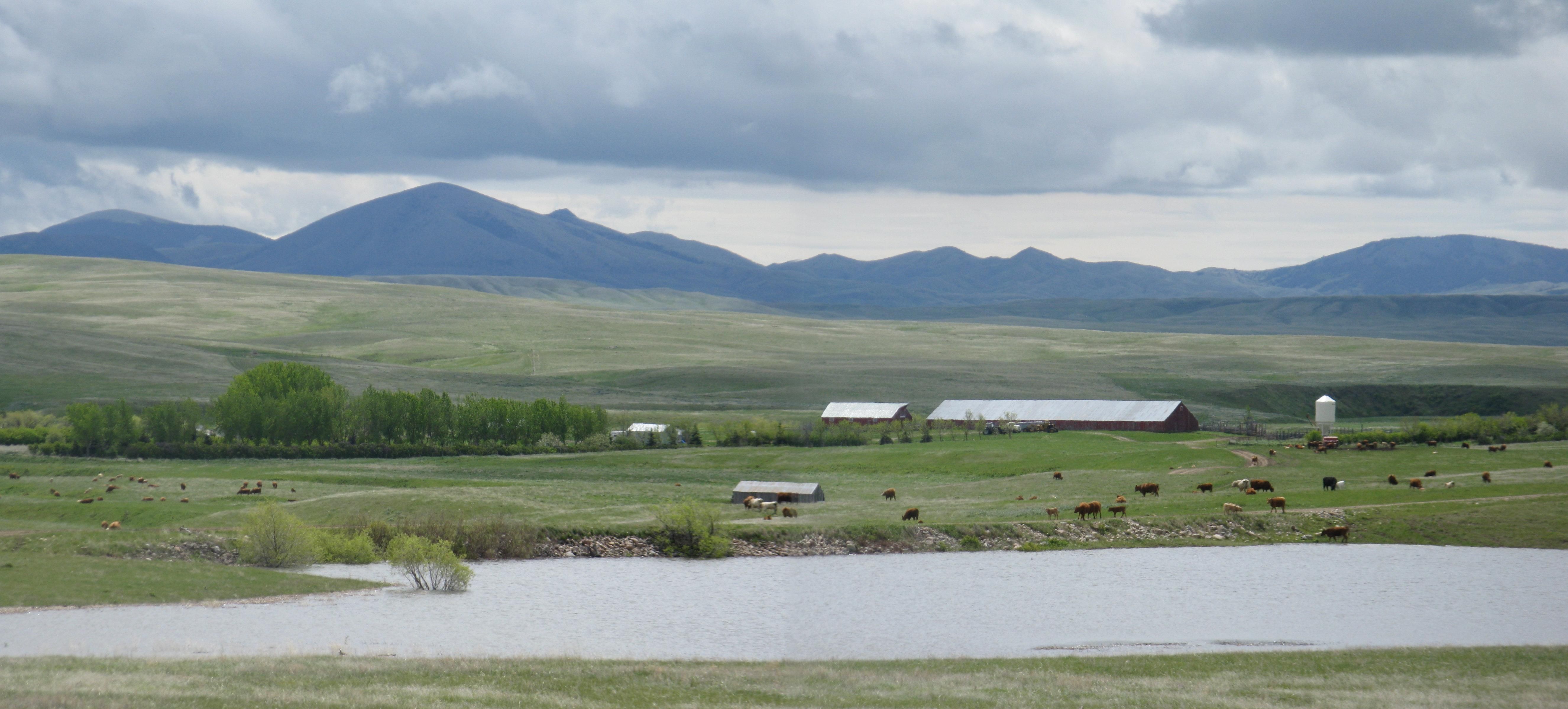 Chinook, Blaine County, MT Farms and Ranches, House for sale Property ID 336546016 LandWatch