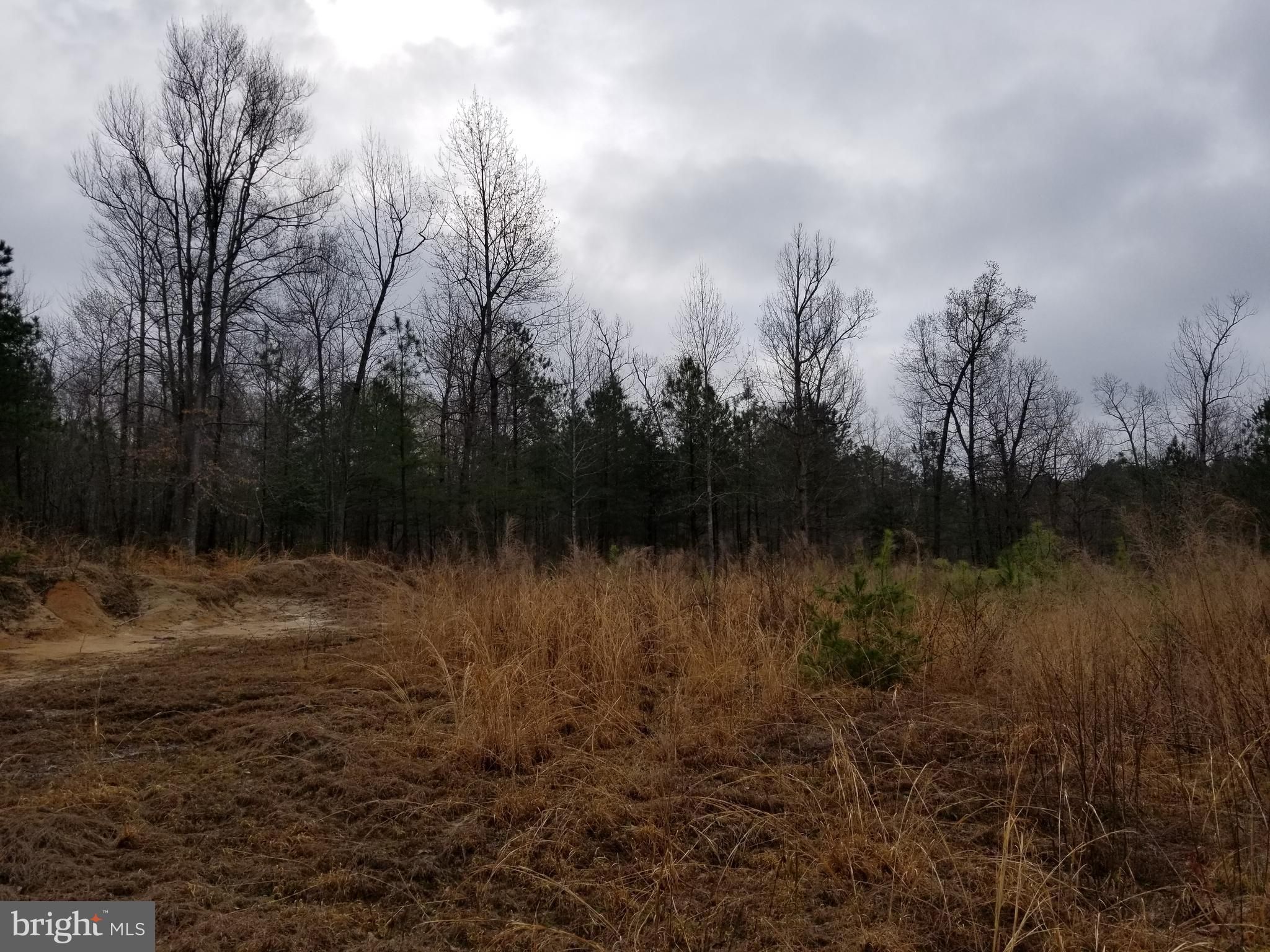 Ruther Glen, Caroline County, VA Undeveloped Land, Lakefront Property