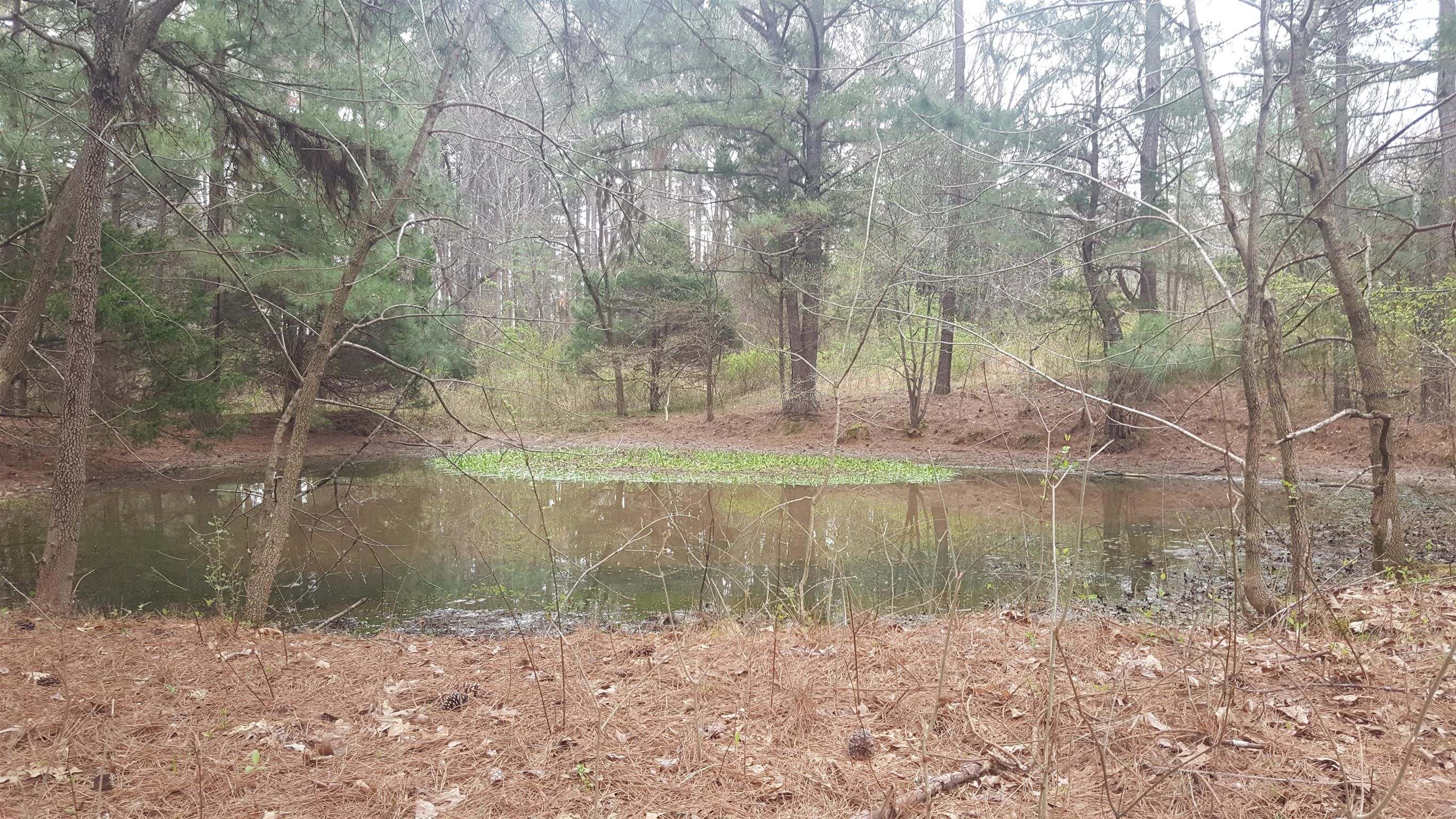 Bon Aqua, Hickman County, TN Undeveloped Land for sale Property ID