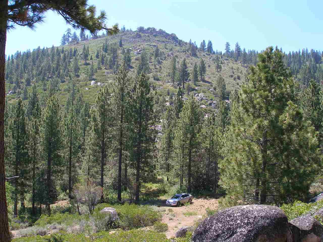 Doyle, Lassen County, CA Undeveloped Land for sale Property ID