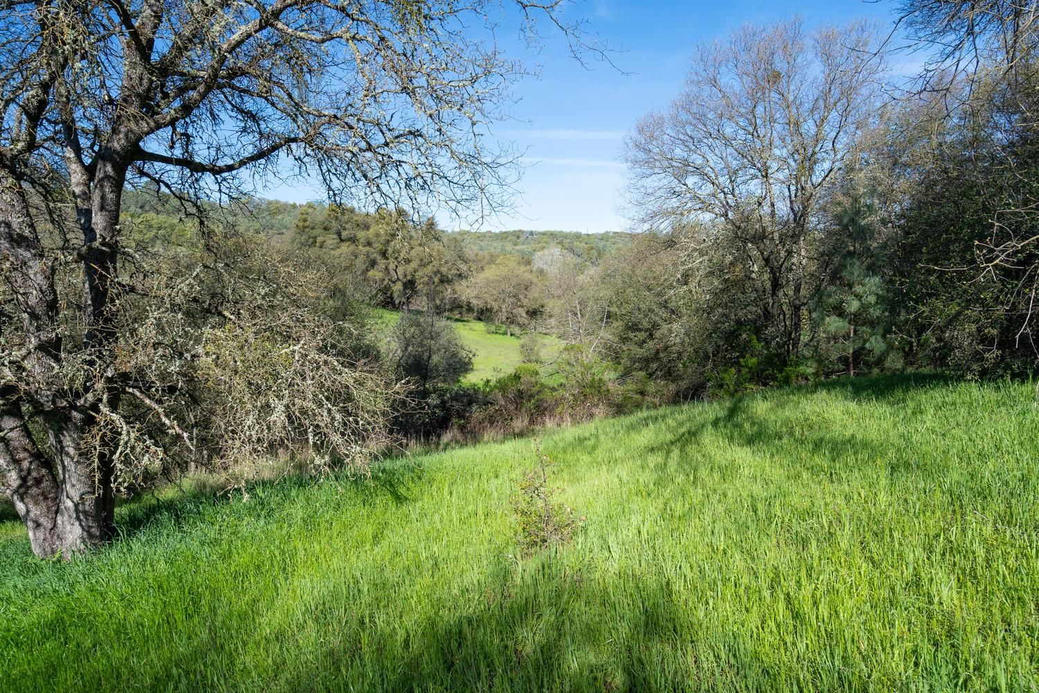 Placerville, El Dorado County, CA Homesites for sale Property ID