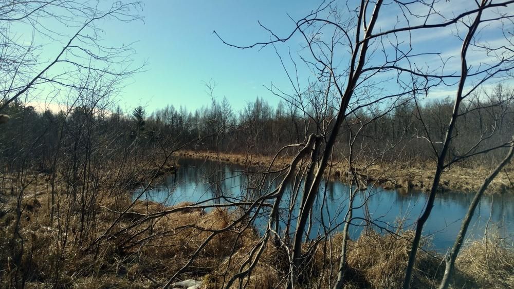 Brainerd, Crow Wing County, MN Undeveloped Land, Lakefront Property