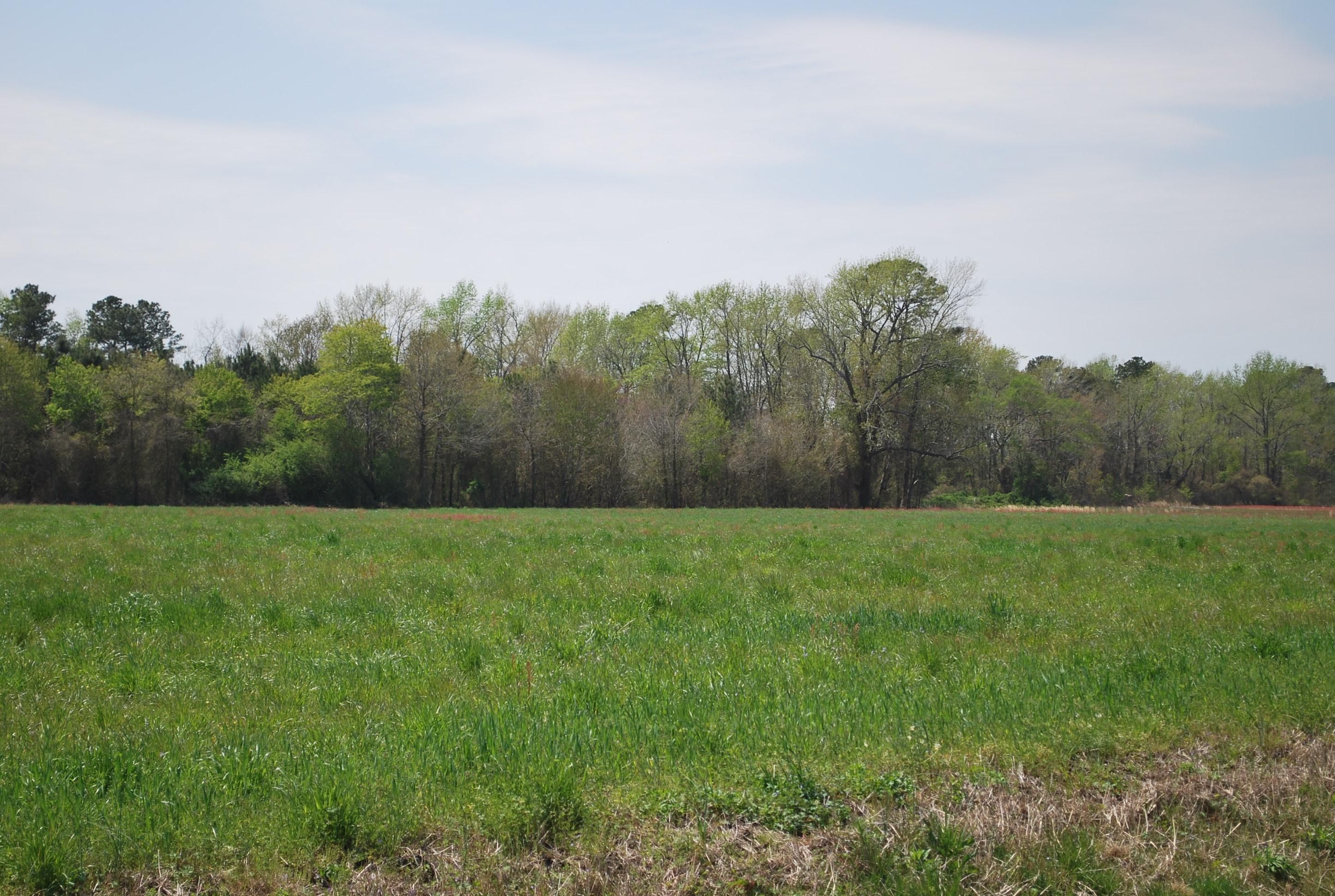Kinston, Lenoir County, NC for sale Property ID 334683690 LandWatch