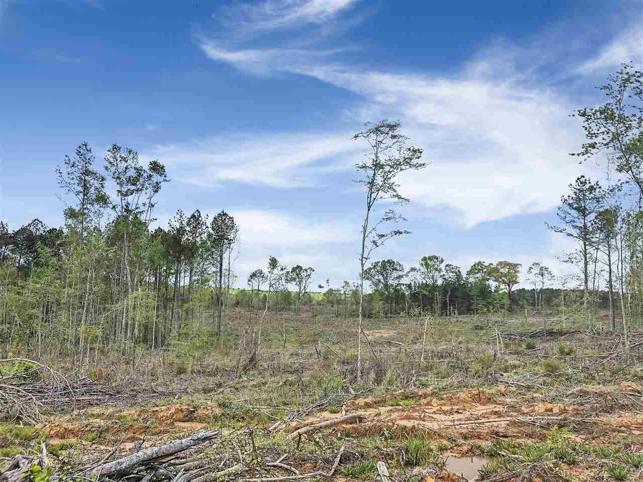 Carthage, Leake County, MS Undeveloped Land for sale Property ID