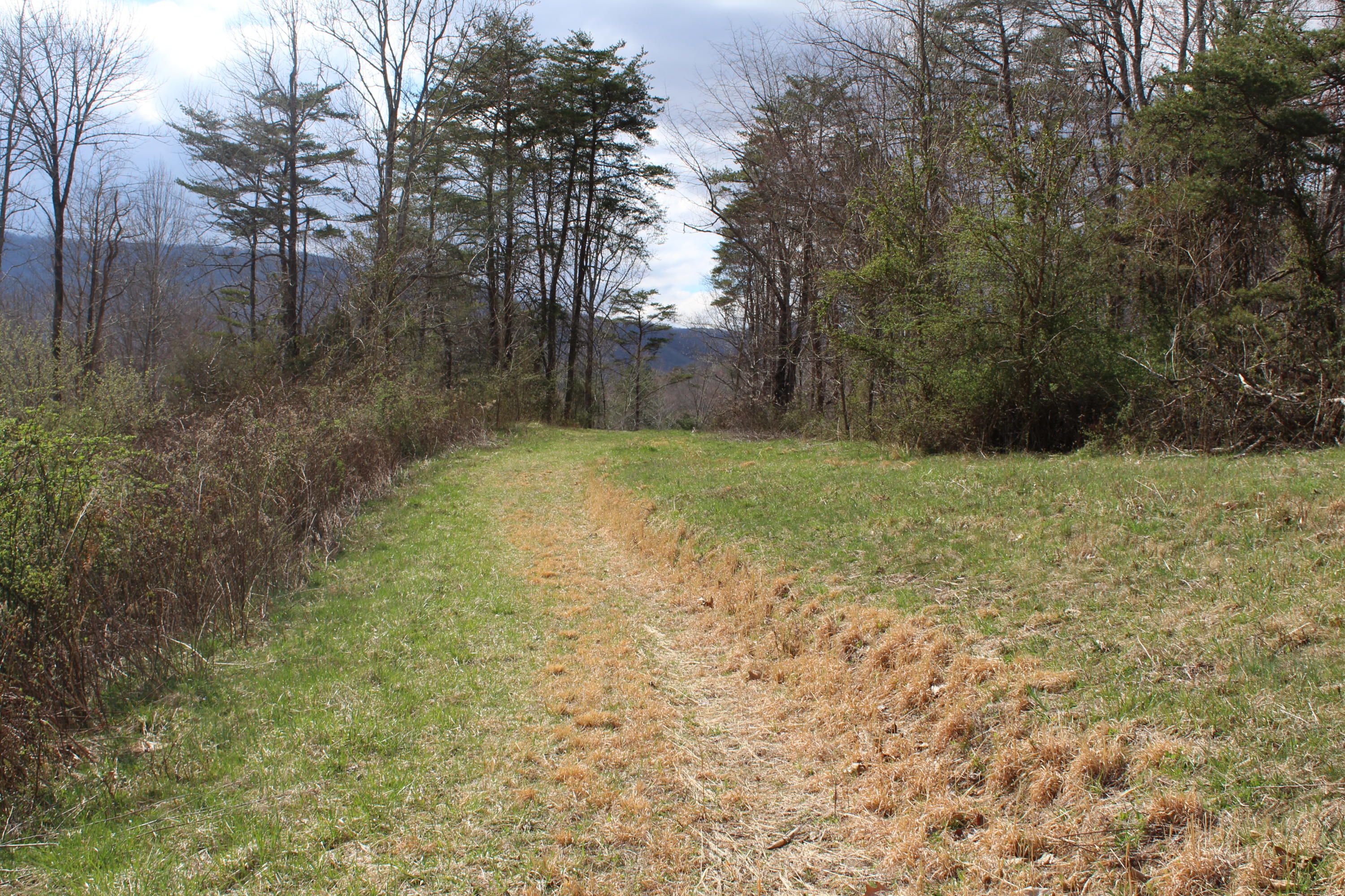 Hinton, Summers County, WV Undeveloped Land for sale Property ID
