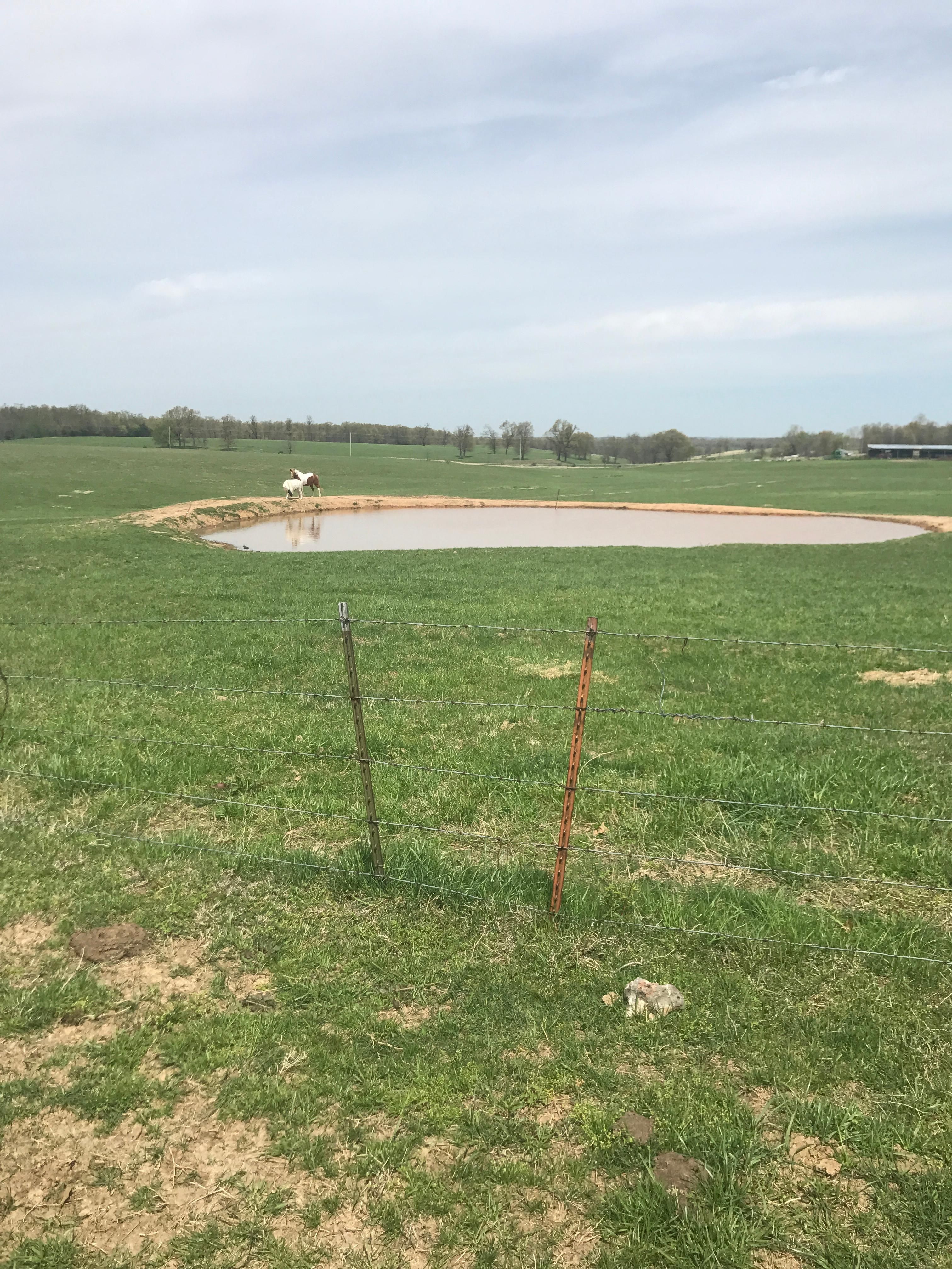 Anderson, McDonald County, MO Farms and Ranches, Hunting Property, House for sale Property ID