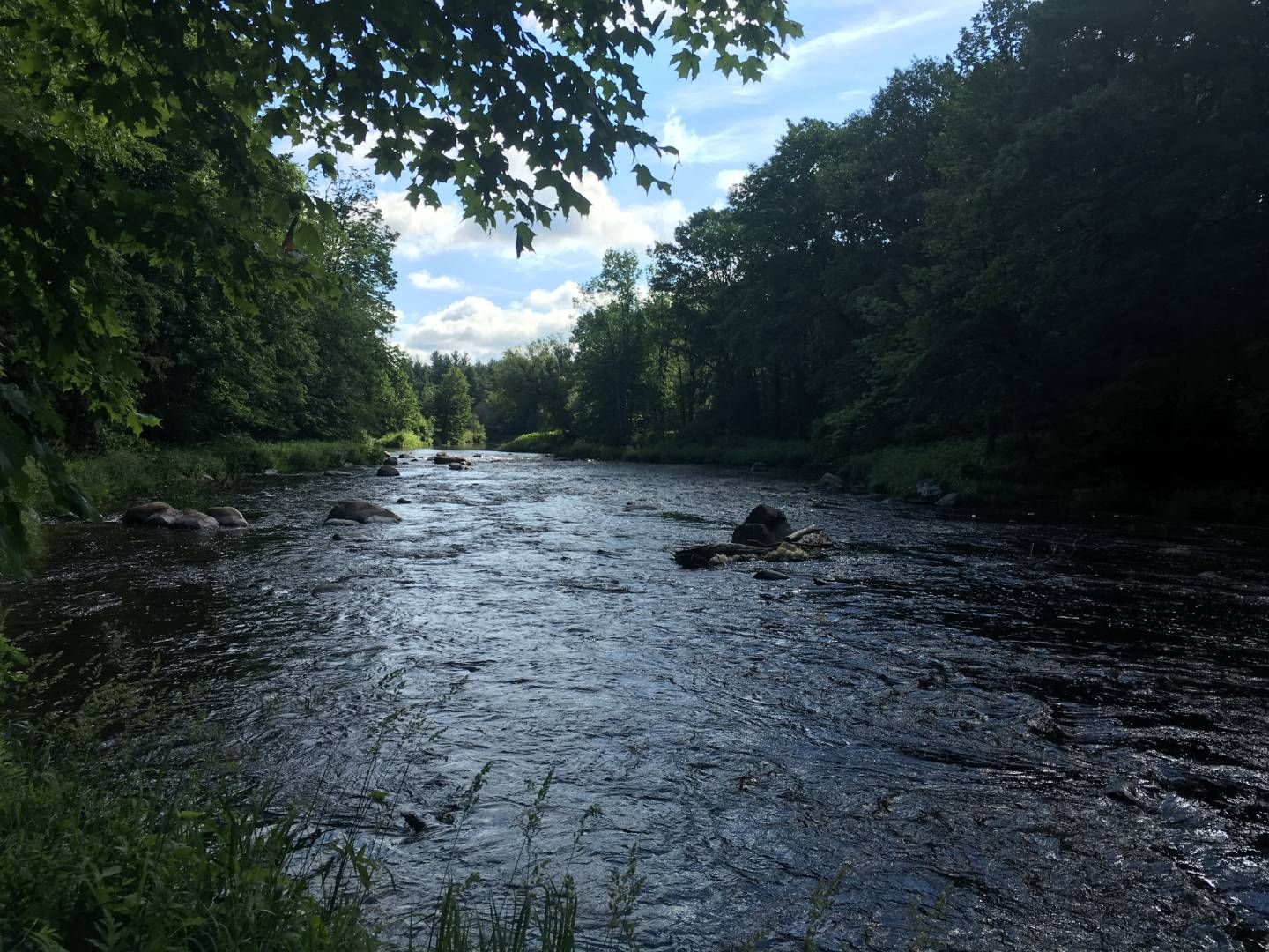 Brasher Falls, Saint Lawrence County, NY Undeveloped Land for sale