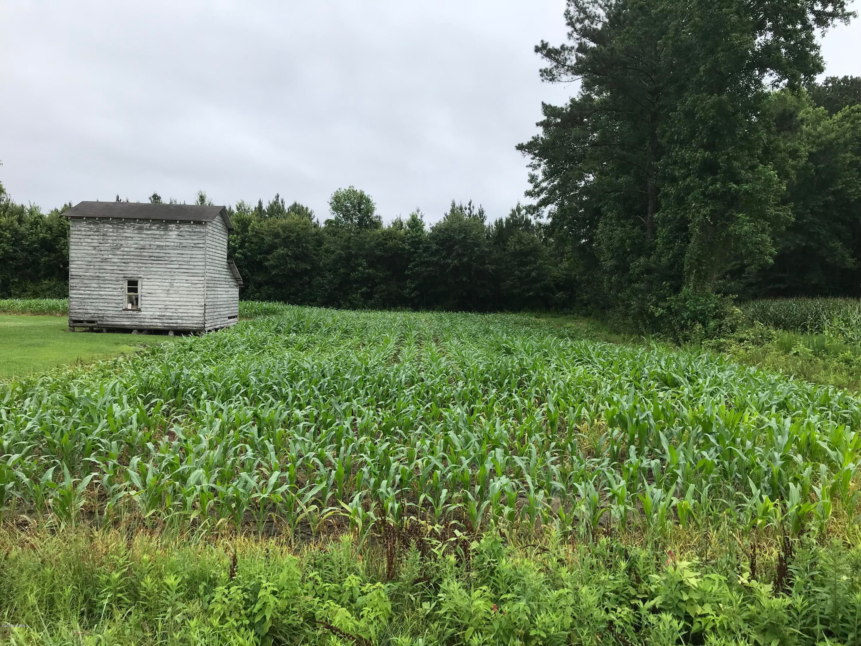 Richlands, Onslow County, NC Undeveloped Land for sale Property ID