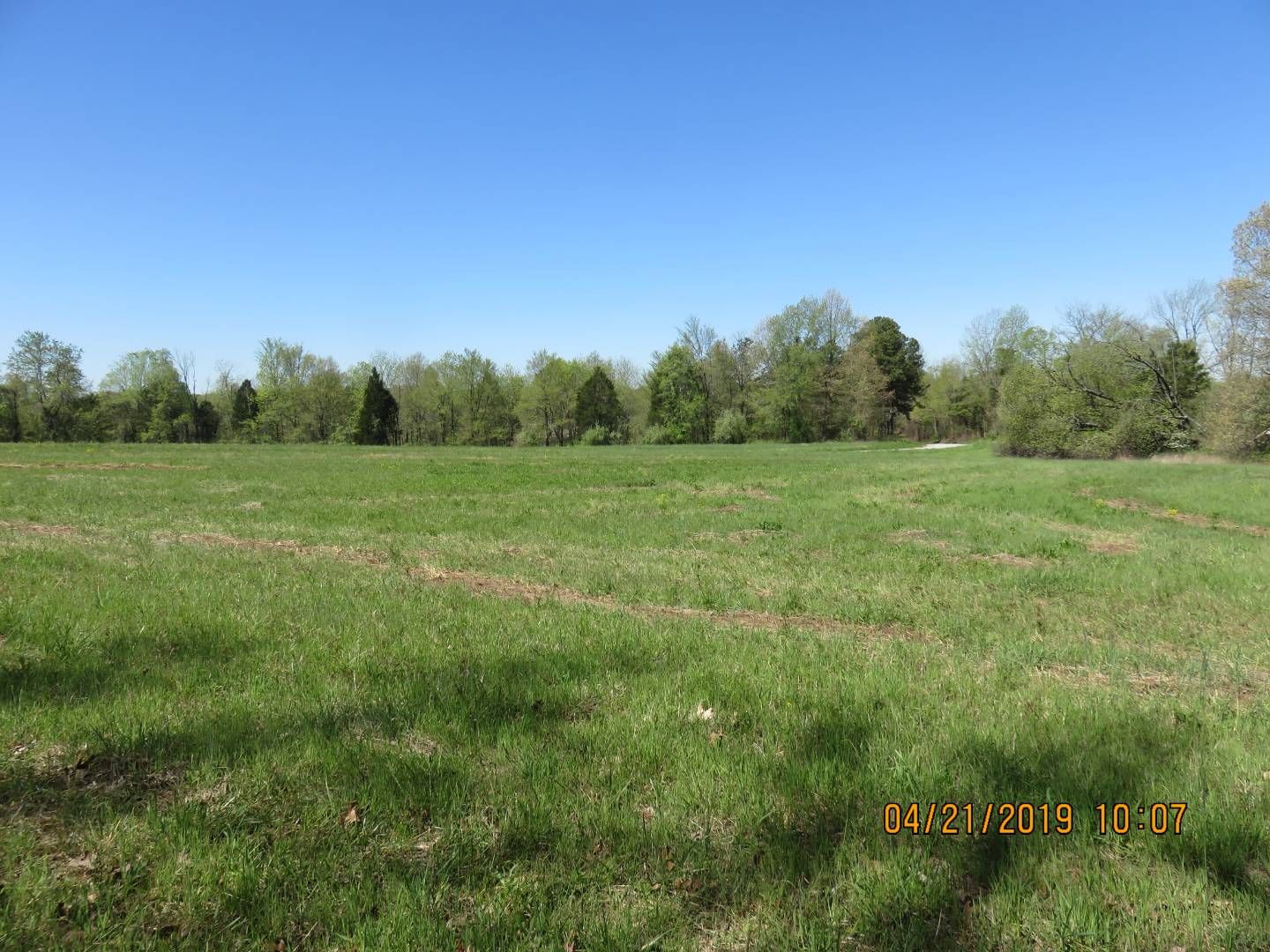 Golconda, Pope County, IL Undeveloped Land for sale Property ID