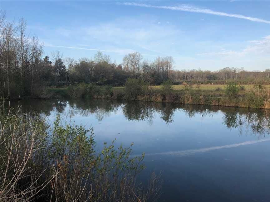 Guin, Marion County, AL Recreational Property, Timberland Property for sale Property ID