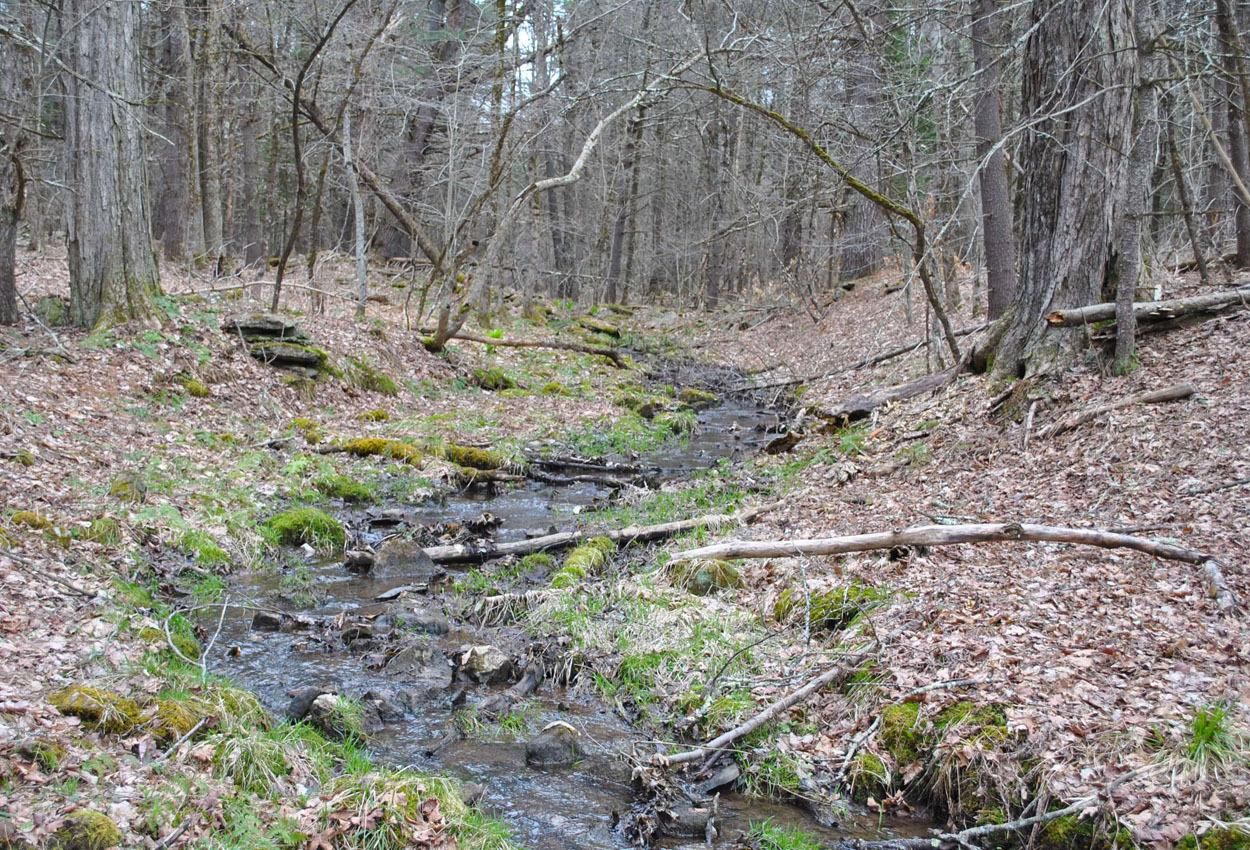 Kortright, Delaware County, NY Undeveloped Land for sale Property ID