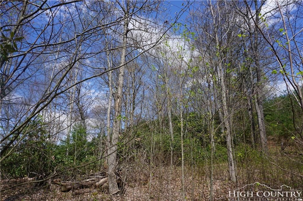 Grassy Creek, Ashe County, NC Undeveloped Land for sale Property ID 334763037 LandWatch