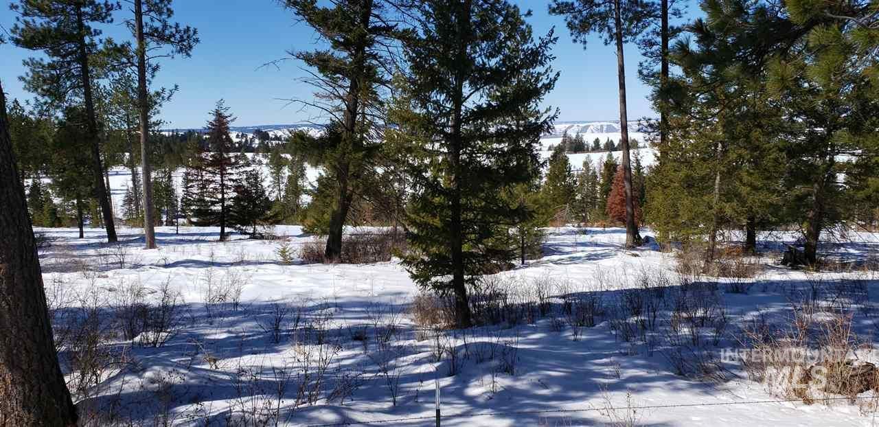 Grangeville, Idaho County, ID Farms and Ranches for sale Property ID