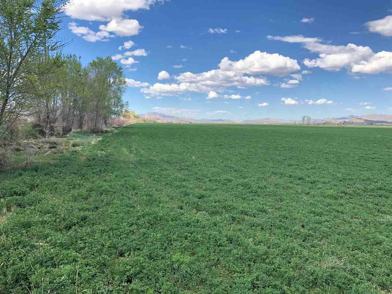 Smith, Lyon County, NV Farms and Ranches for sale Property ID