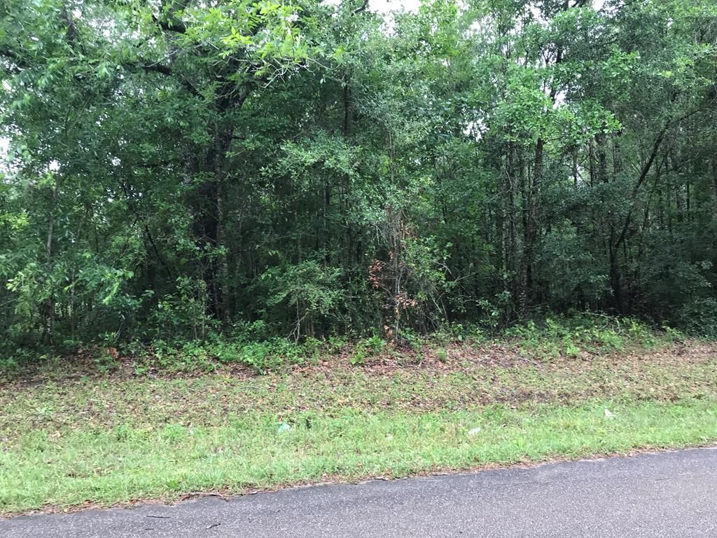 Calvary, Grady County, GA Undeveloped Land, Homesites for sale Property
