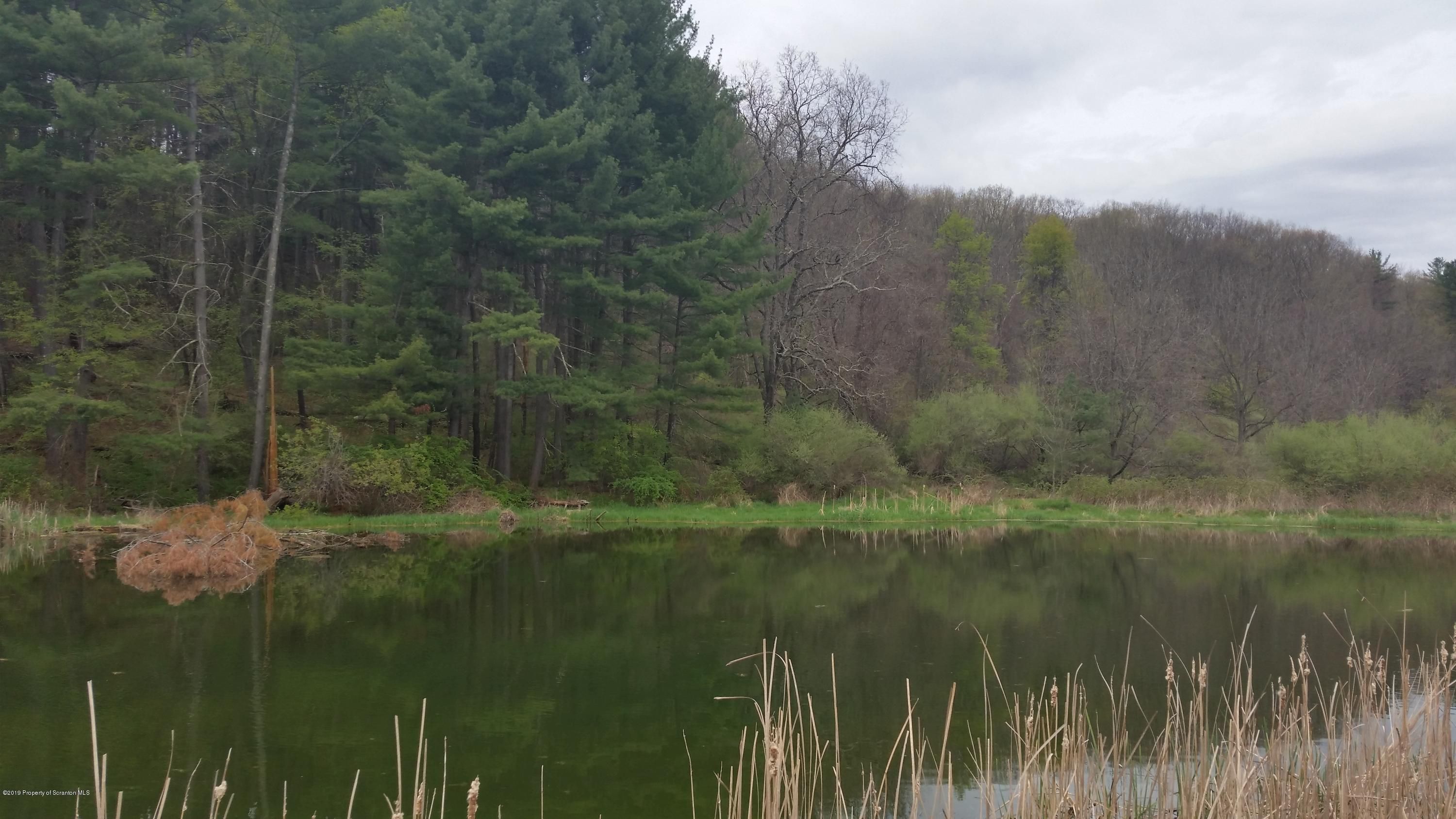 Wyoming County, PA Undeveloped Land for sale Property ID