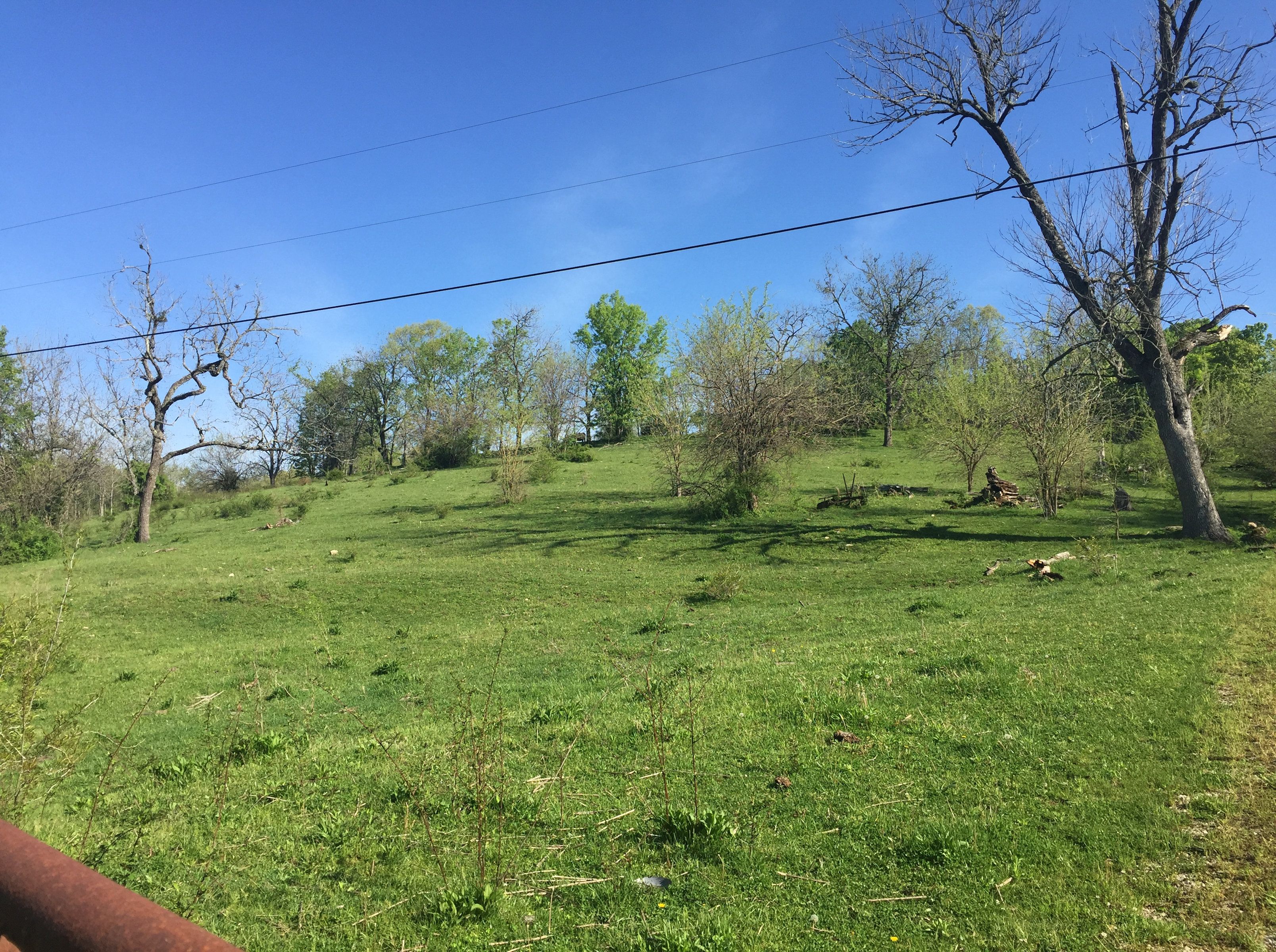 Owingsville, Bath County, KY Undeveloped Land for sale Property ID