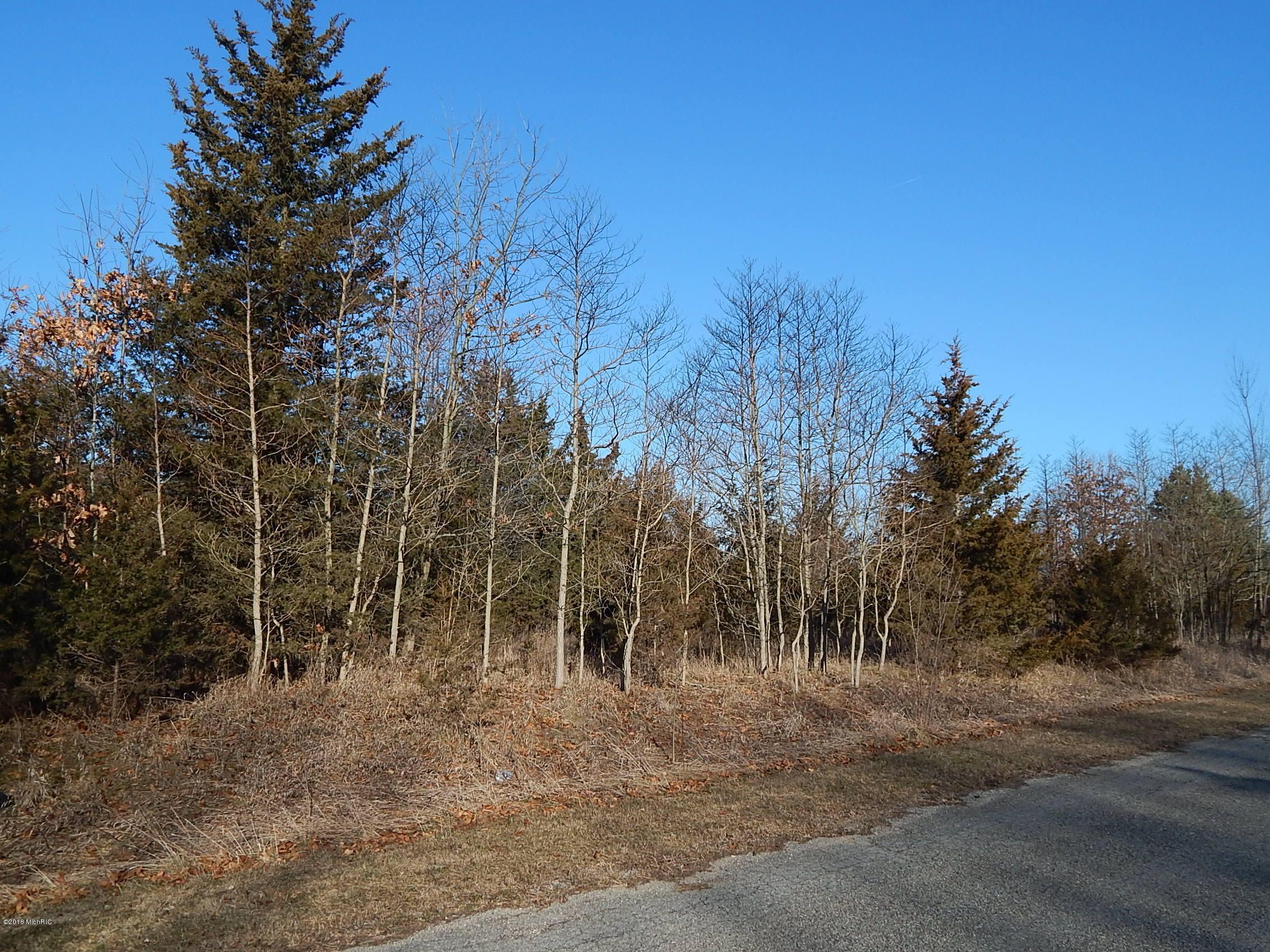 Three Rivers, Saint Joseph County, MI Undeveloped Land, Homesites for