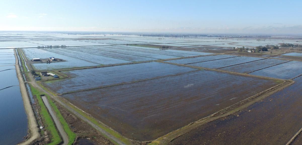 Colusa, Colusa County, CA Farms and Ranches, House for sale Property ID