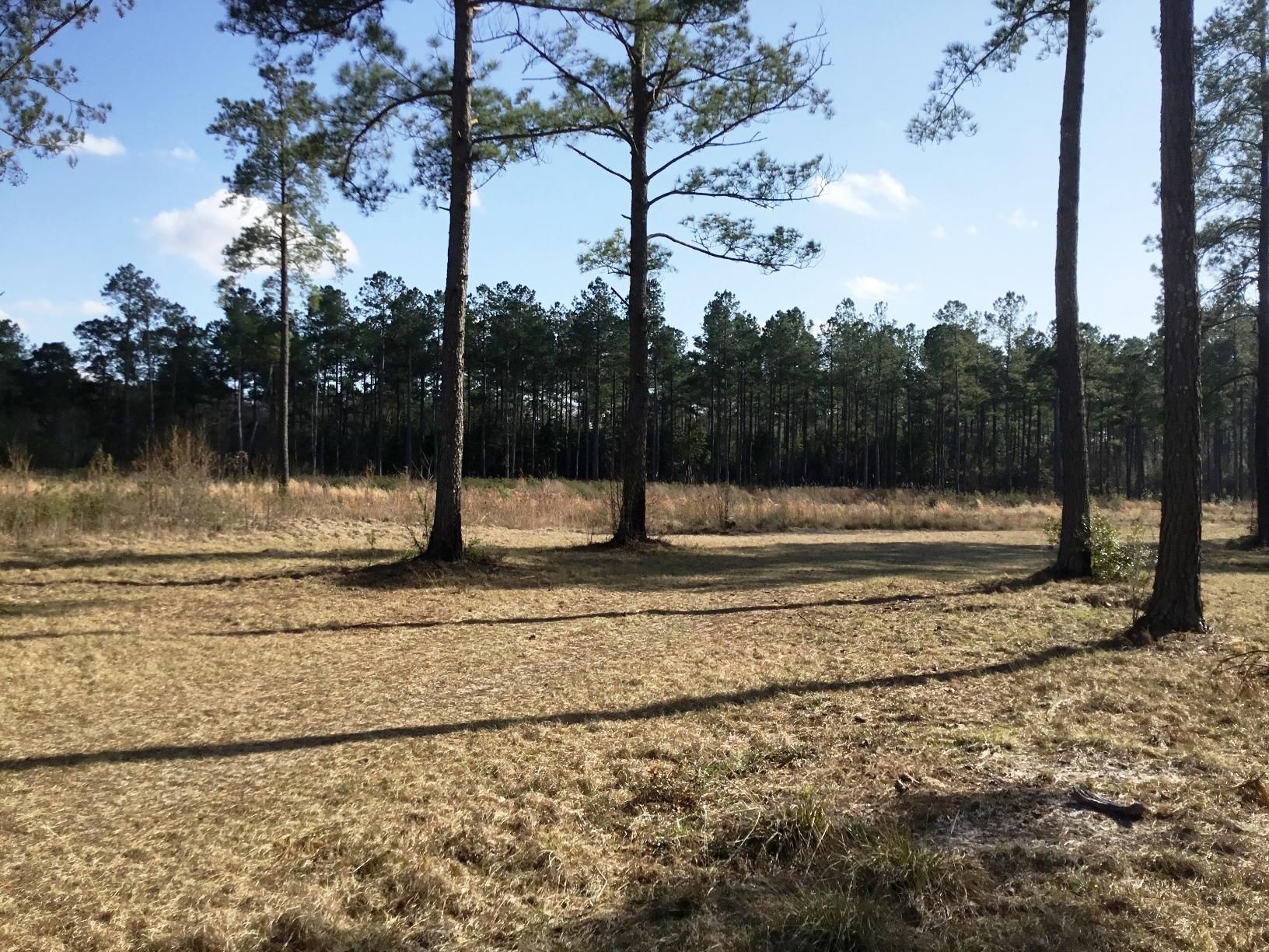 County, SC Recreational Property, Hunting