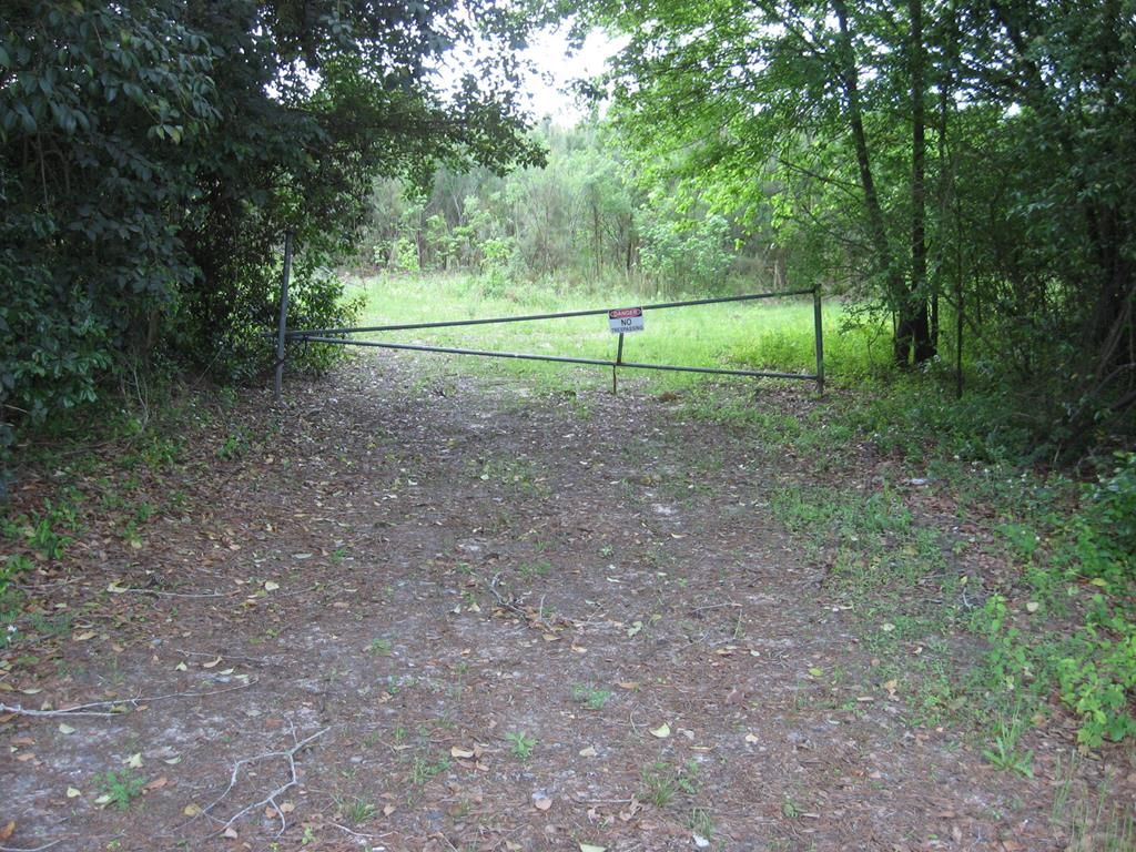 Denmark, Bamberg County, SC Undeveloped Land for sale Property ID