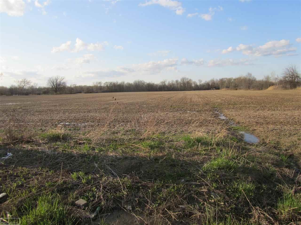 Casco, Saint Clair County, MI Undeveloped Land for sale Property ID
