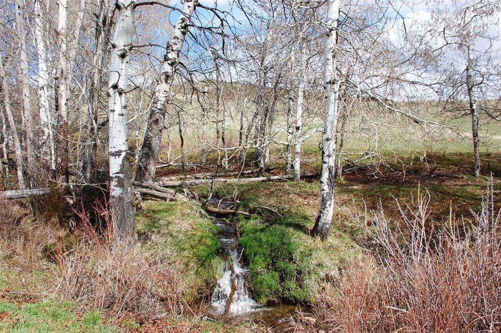 Pony, Madison County, MT Undeveloped Land for sale Property ID 334812527 LandWatch