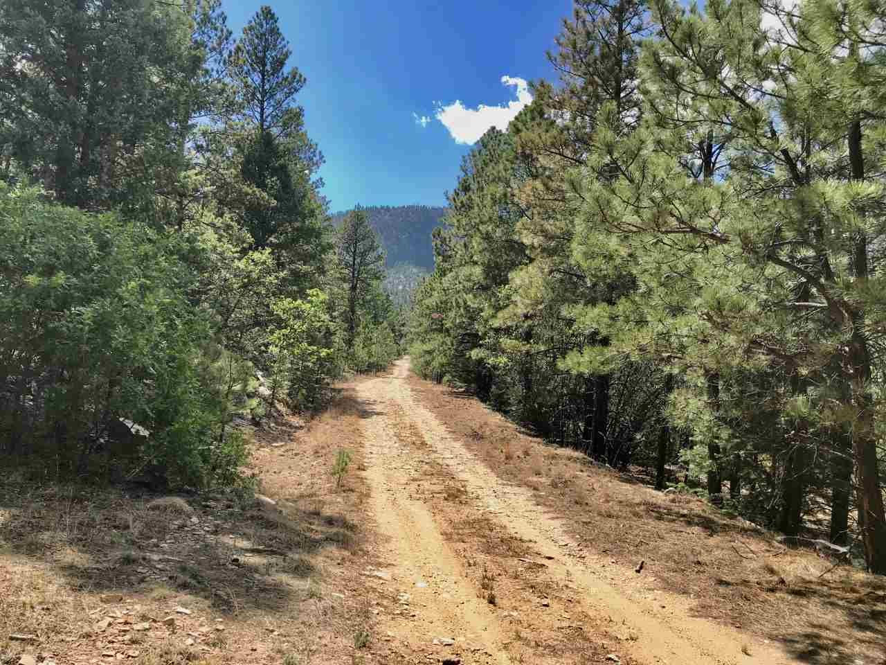 Guadalupita, Mora County, NM Farms and Ranches, Undeveloped Land for