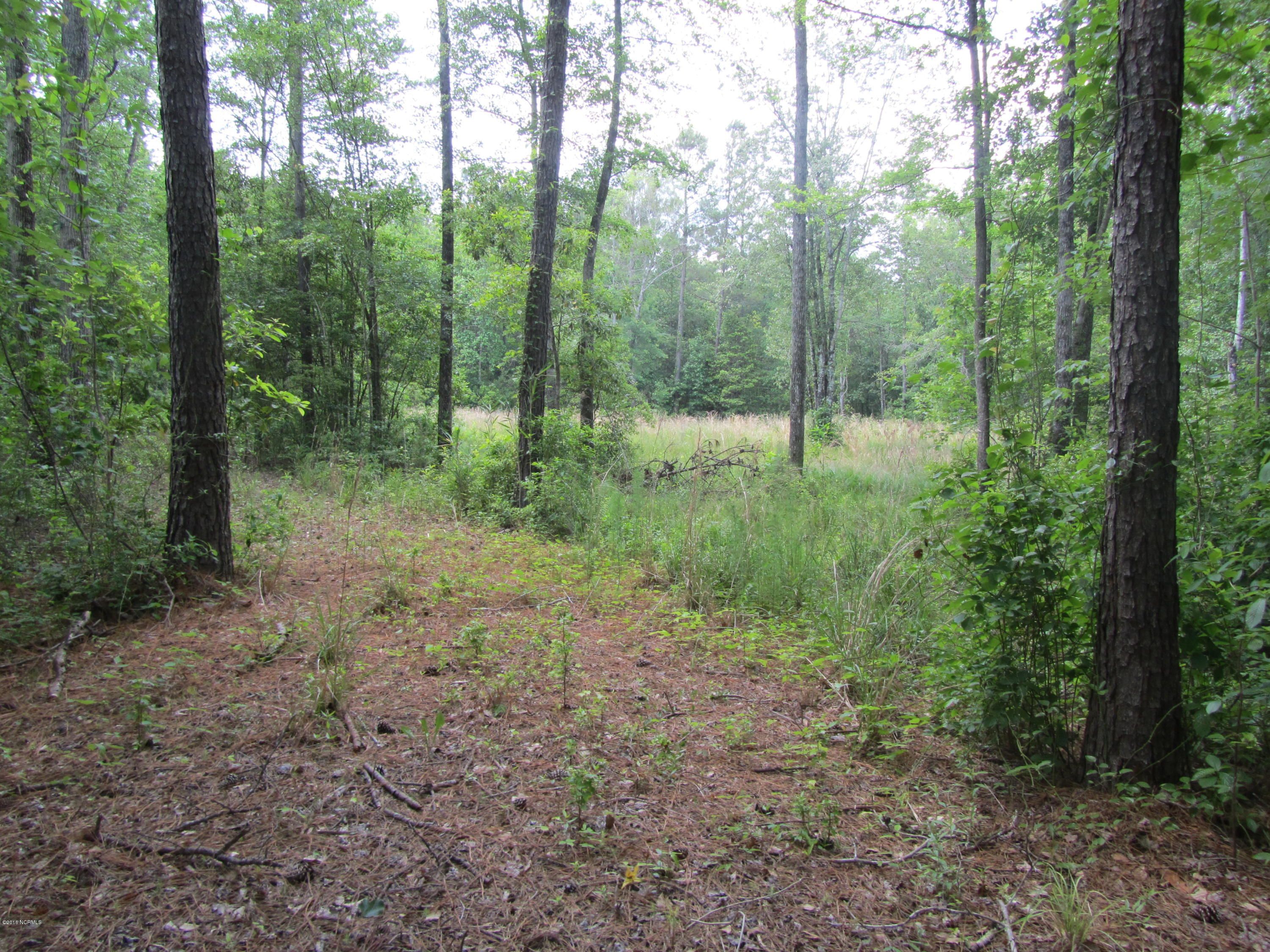 Burgaw, Pender County, NC Undeveloped Land, Lakefront Property