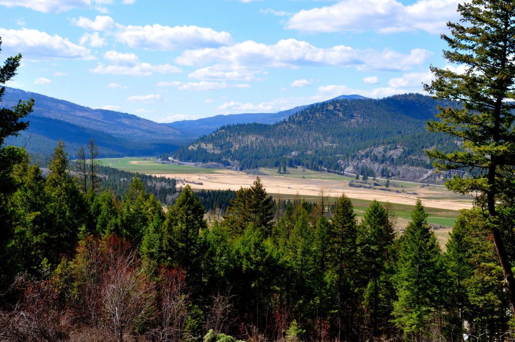 Kila, Flathead County, MT Undeveloped Land for sale Property ID