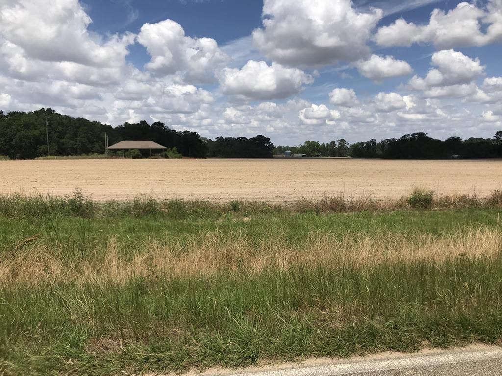 Pelham, Grady County, GA Undeveloped Land for sale Property ID