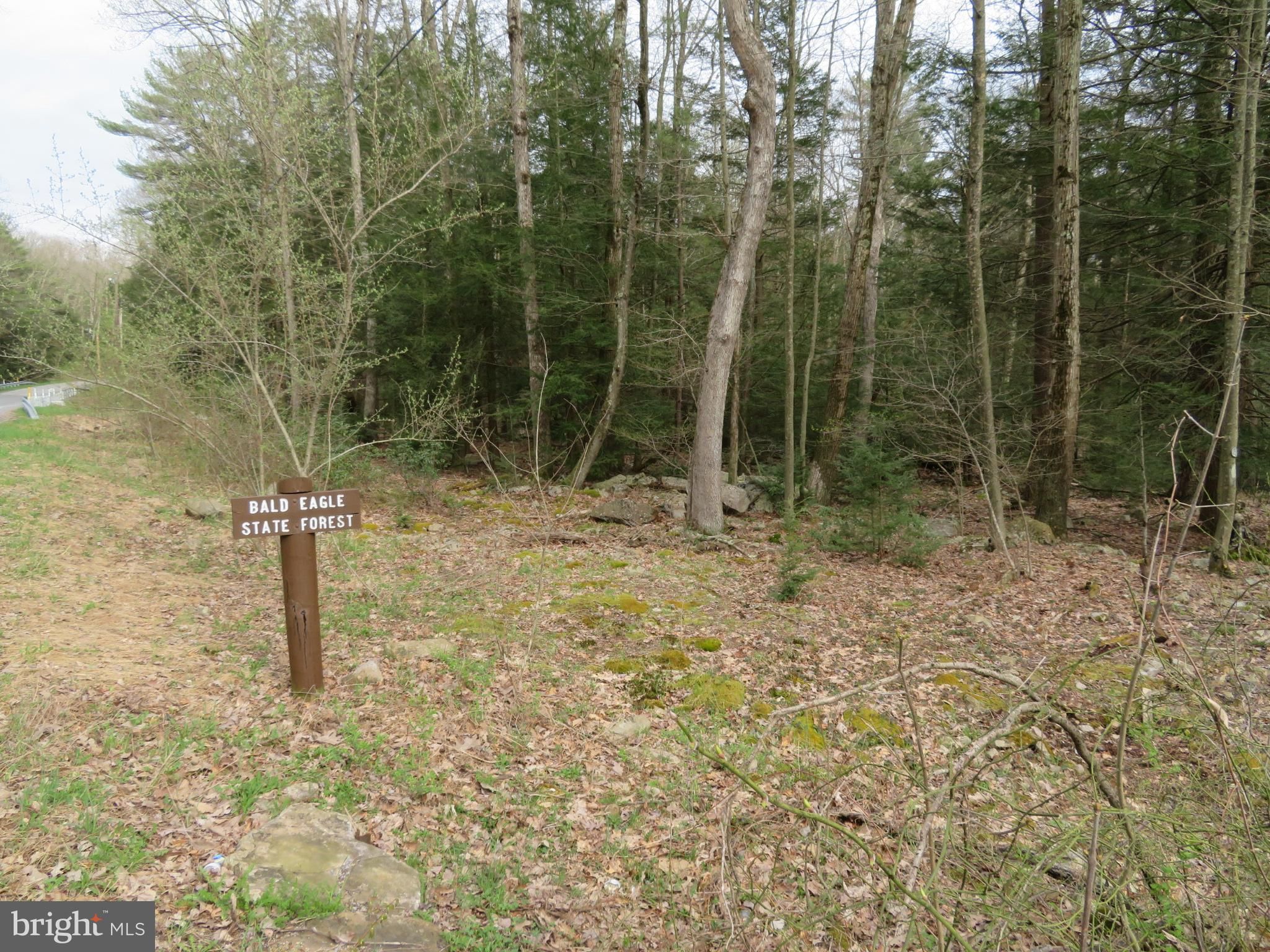 Loganton, Clinton County, PA Undeveloped Land, Homesites for sale