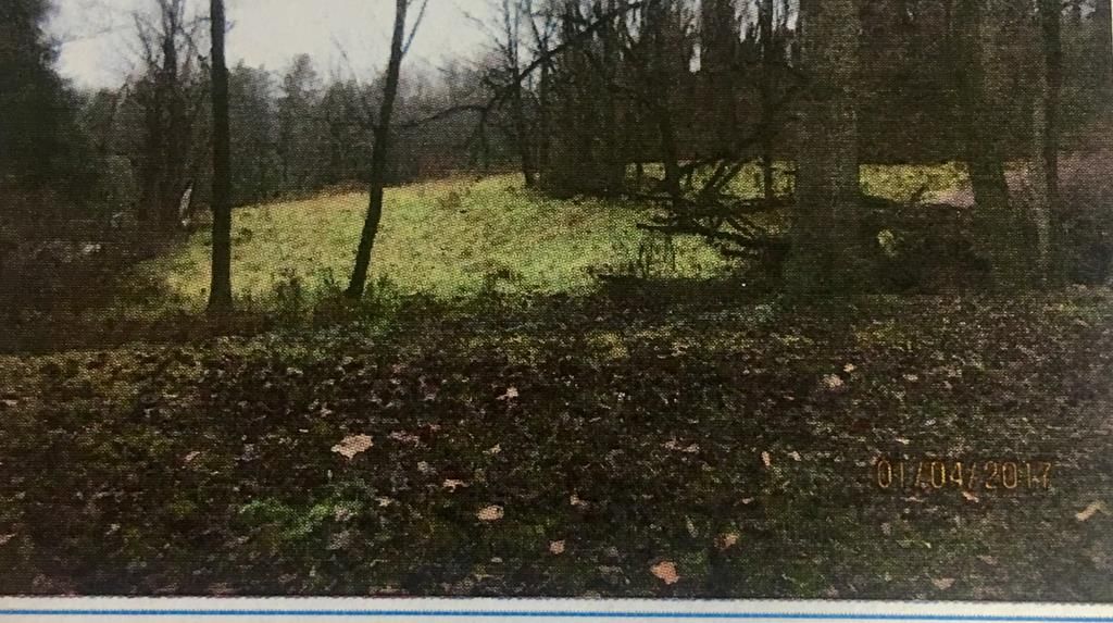 New Martinsville, Wetzel County, WV Undeveloped Land, Homesites for