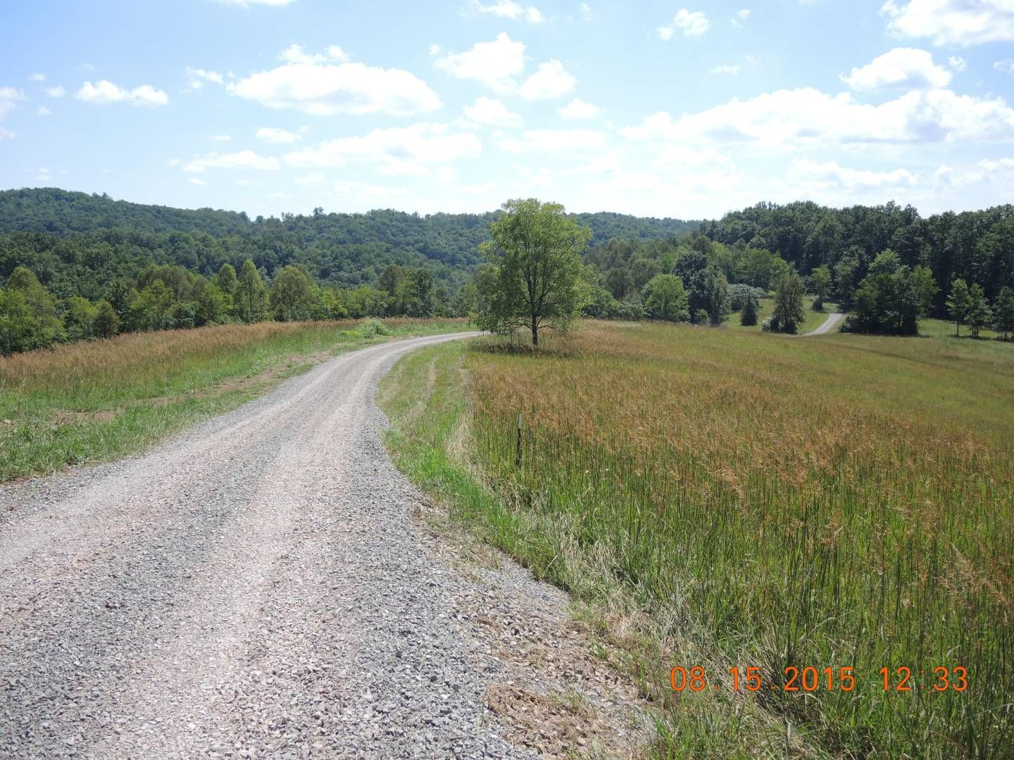 Napier, Braxton County, WV Undeveloped Land, Homesites for sale